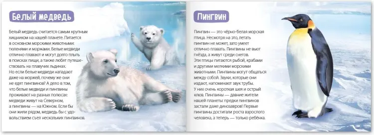 Книга Е.Сачкова: Удивительный мир купить,NaN