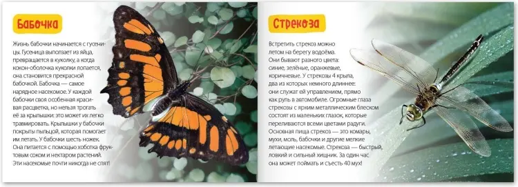 Книга Е.Сачкова: Удивительный мир купить,NaN