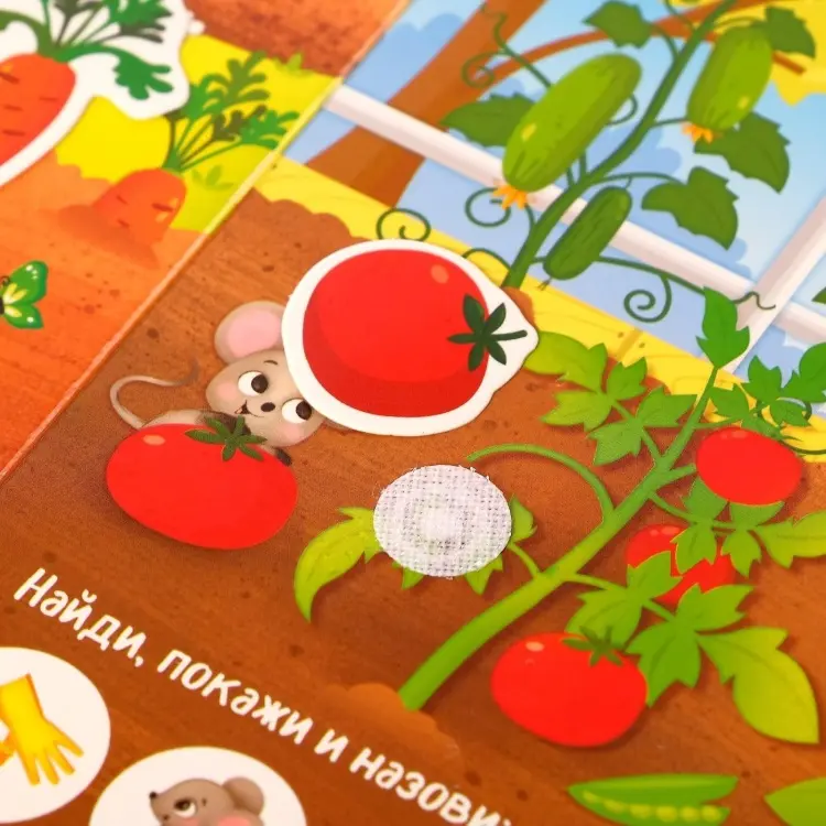 Книга Е.Сачкова: Что где растёт купить,NaN