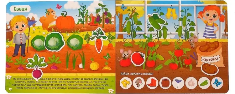 Книга Е.Сачкова: Что где растёт купить,NaN