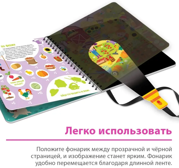 Книга Е.Сачкова: Найди и сосчитай с Вилли купить,NaN