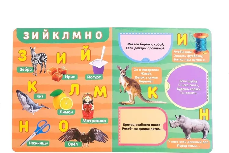 Книга Е.Сачкова: Алфавит купить,NaN