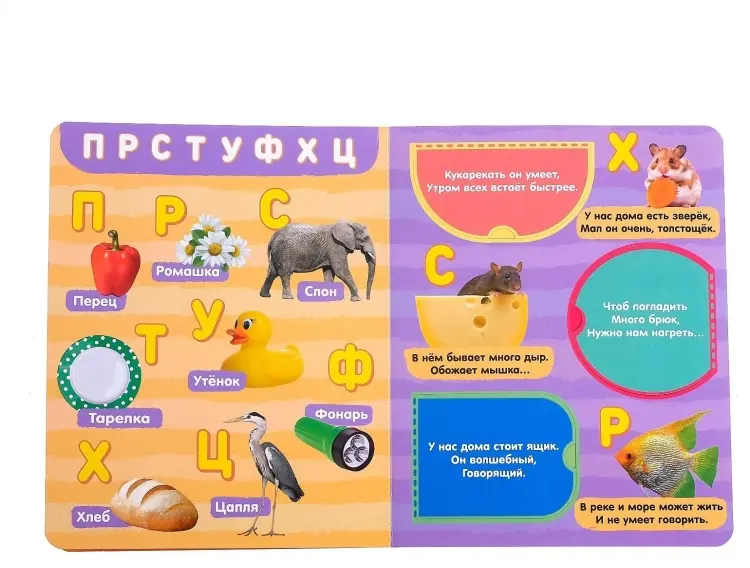 Книга Е.Сачкова: Алфавит купить,NaN