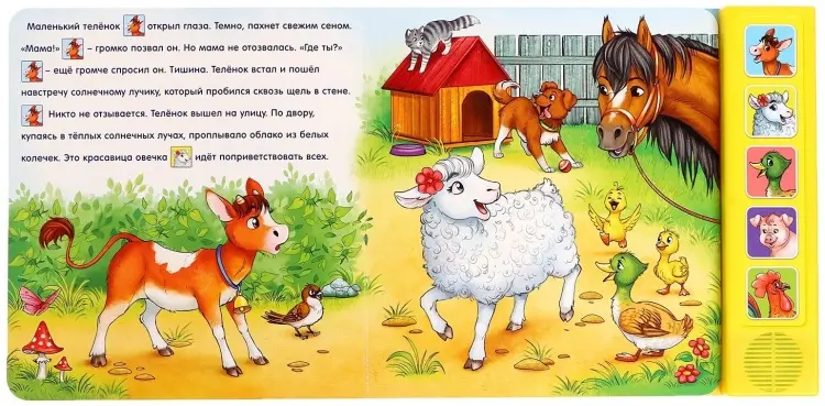 Книга Е.Сачкова: Телёнок ищет маму купить,NaN