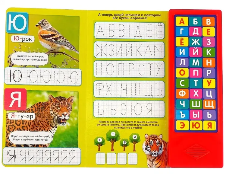Книга Е.Сачкова: Моя азбука купить,NaN
