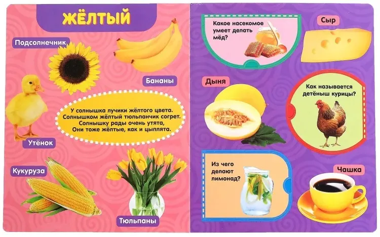 Книга Е.Сачкова: Цвета купить,NaN