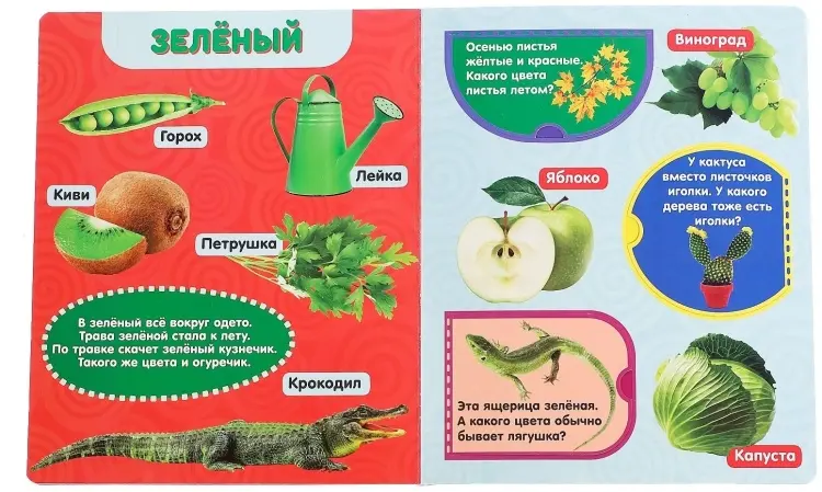 Книга Е.Сачкова: Цвета купить,NaN