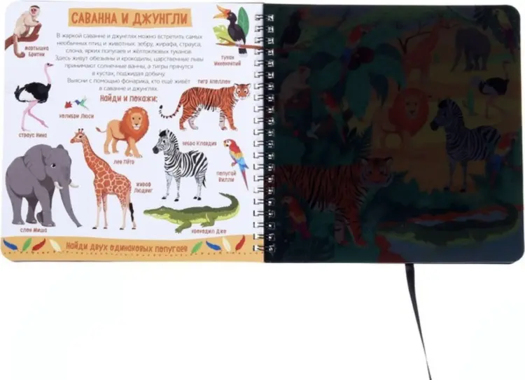 Книга Сачкова Е.: Секретная книга с фонариком. Зооленд купить,NaN