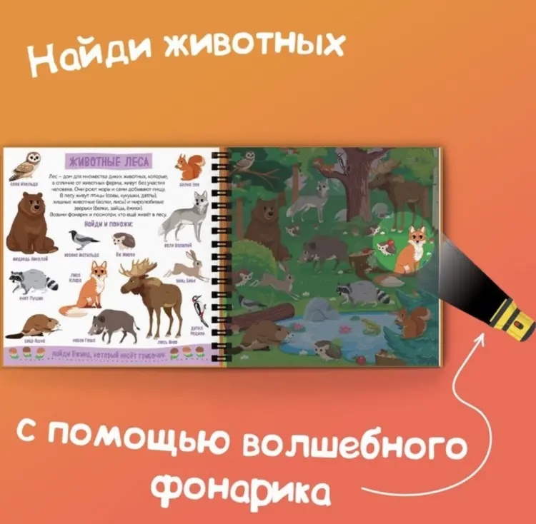 Книга Сачкова Е.: Секретная книга с фонариком. Зооленд купить,NaN