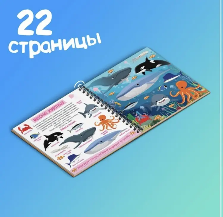 Книга Сачкова Е.: Секретная книга с фонариком. Зооленд купить,NaN