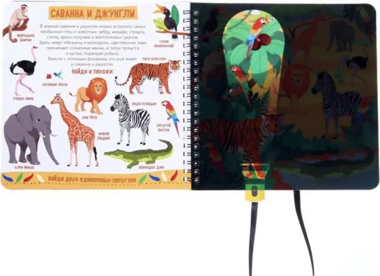 Книга Сачкова Е.: Секретная книга с фонариком. Зооленд купить,NaN