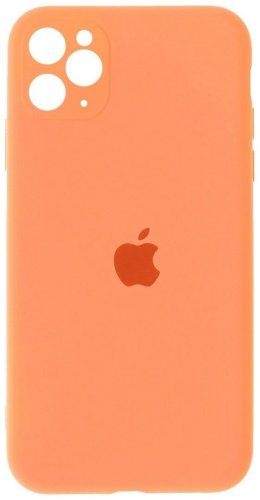 Чехол Silicone Case MY1E2 для Apple iPhone 11 Pro - ForteMarket Чехол Silicone Case MY1E2 для Apple iPhone 11 Pro купить,999