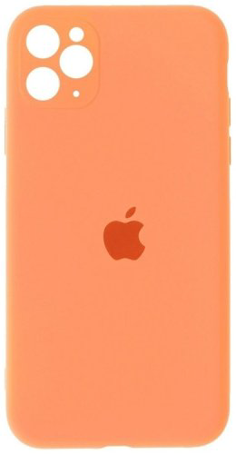 Чехол Silicone Case MY1E2 для Apple iPhone 11 Pro - ForteMarket Чехол Silicone Case MY1E2 для Apple iPhone 11 Pro купить,999