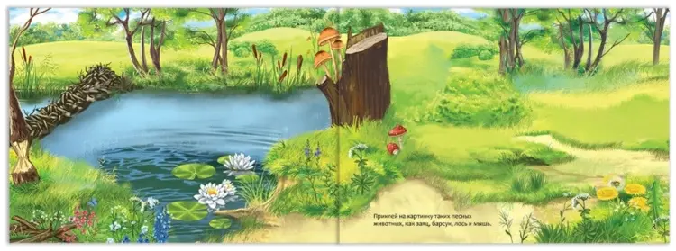 Книга Е.Сачкова: Изучаем животных купить,NaN