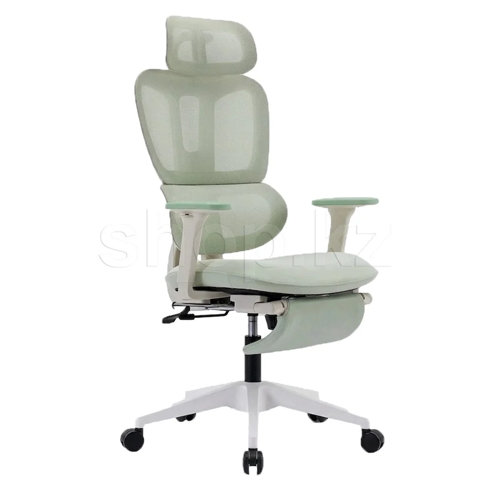 Офисное кресло FlexiSpot BS5LG-PRO Light Green купить,109990