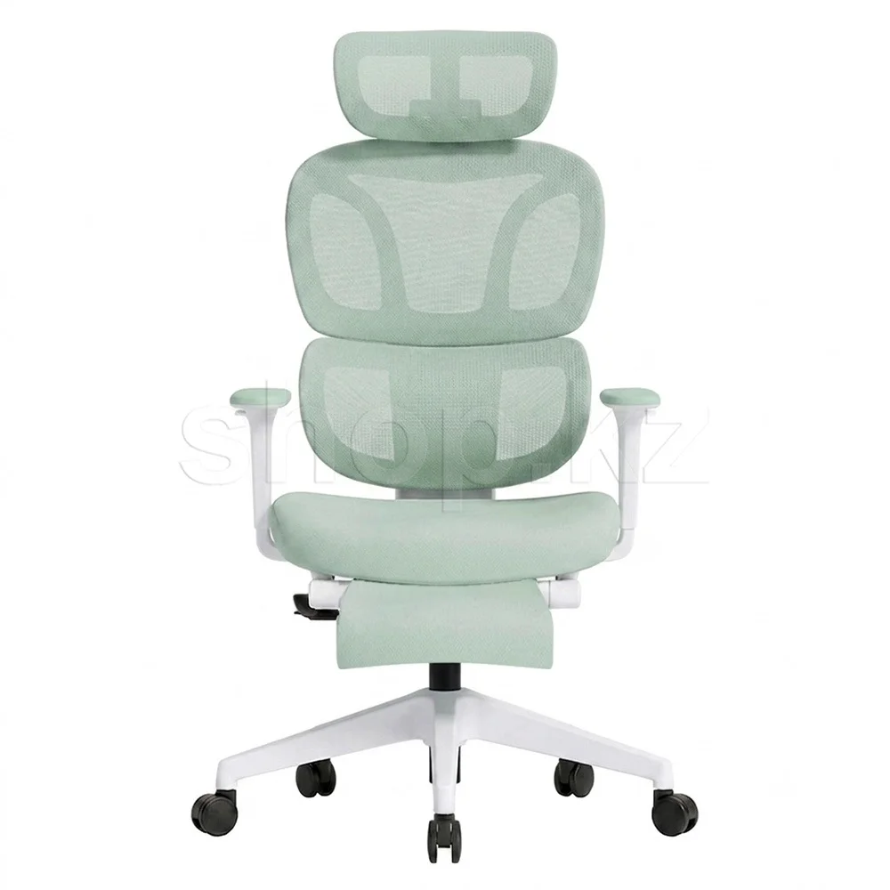 Офисное кресло FlexiSpot BS5LG-PRO Light Green купить,109990