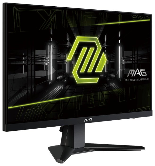 Монитор 24.5" MSI MAG 256F черный - ForteMarket Монитор 24.5" MSI MAG 256F черный купить,0