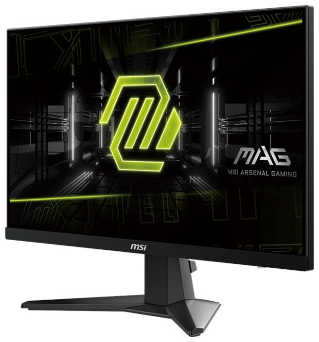 Монитор 24.5" MSI MAG 256F черный - ForteMarket Монитор 24.5" MSI MAG 256F черный купить,0