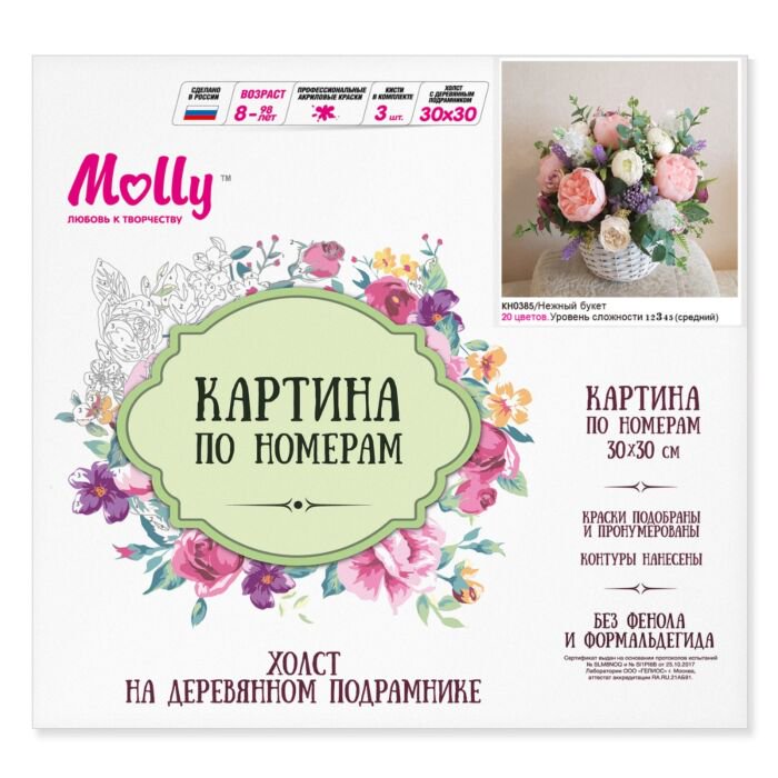 Картина по номерам Molly Нежный букет 30х30 20 цветов купить,NaN