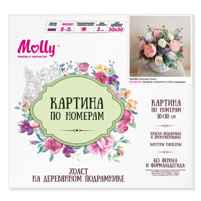 Картина по номерам Molly Нежный букет 30х30 20 цветов купить,NaN