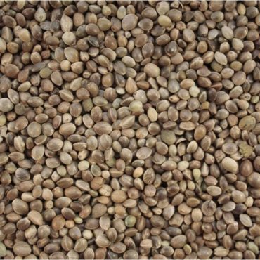Прикормка FishXsize STKU2023 КОНОПЛЯ 1 кг купить,NaN