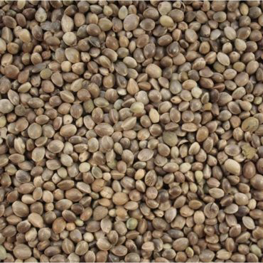 Прикормка FishXsize STKU2023 КОНОПЛЯ 1 кг купить,NaN
