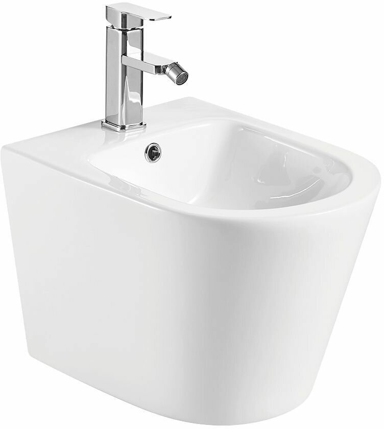 Биде WeltWasser Salzbach 005 GL-WT белое купить,NaN