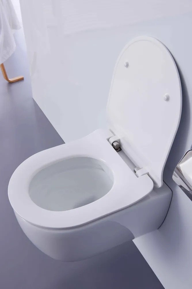 Унитаз SSWW CT2038V белый купить,function inputValueFn(){if((0,signal2.mK)(node),node.value===REQUIRED_UNSET_VALUE)throw new root_effect_scheduler.buA(-950,null);return node.value}