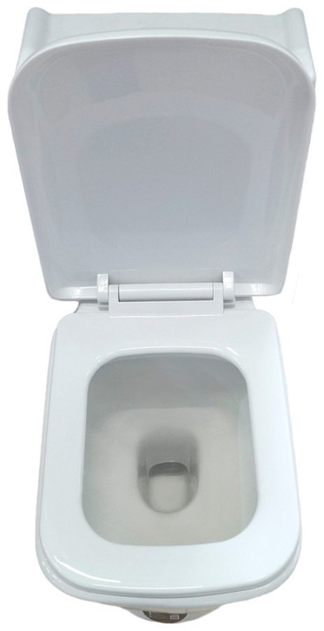 Унитаз Domani-Spa 8036 белый