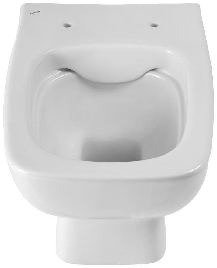 Унитаз Santek 1WH501572 с инсталляцией белый