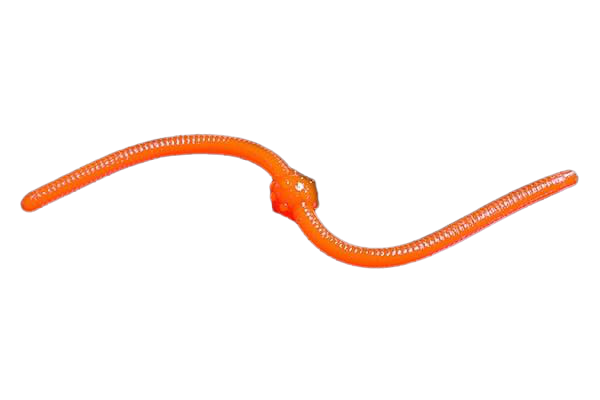 Силиконовая приманка Jara Baits Jum-Jum 100мм Сыр 27 15шт купить,NaN