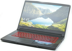 Ноутбук MSI GF63 Thin 8SC-026X/9S7-16R312-026 черный