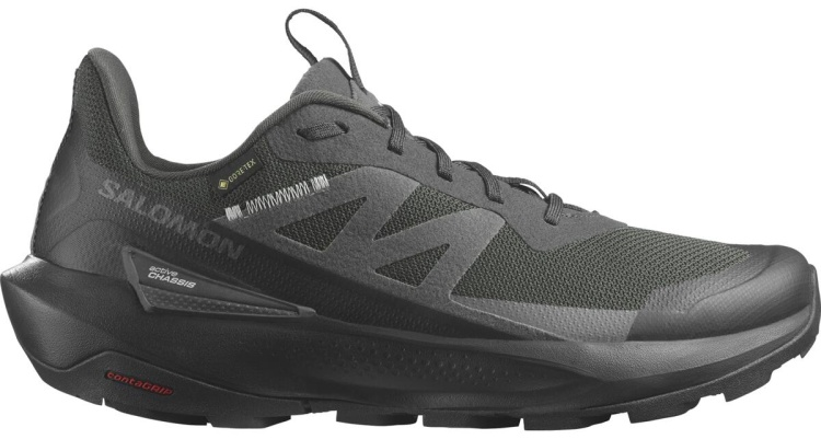Треккинговые кроссовки мужские Salomon Elixir Activ Gtx L47456100 черный 8 42  купить,NaN