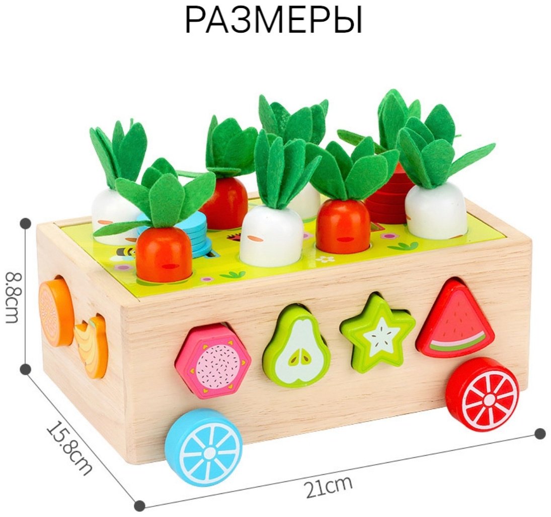 Сортер Сортер купить,0