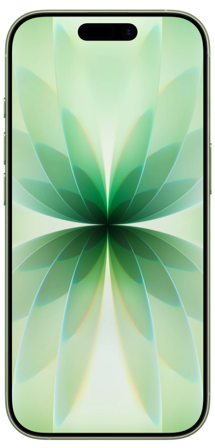 Смартфон Apple iPhone 17 256GB Sage - ForteMarket Смартфон Apple iPhone 17 256GB Sage купить,0