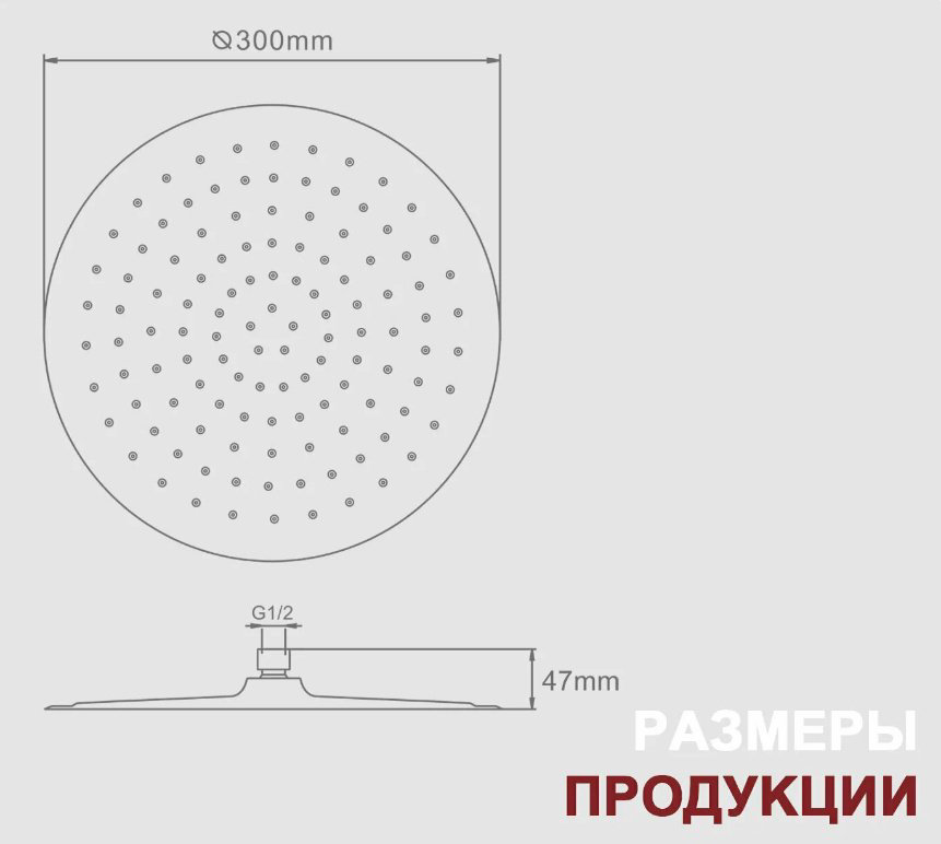 Raglo лейка для душа (без шланга) R451.56.03, нержавеющая сталь купить,NaN