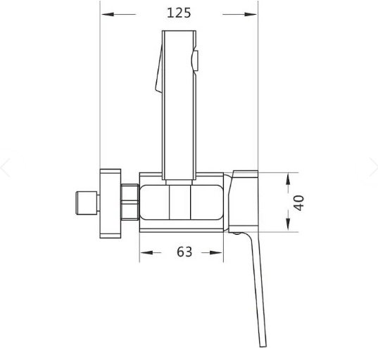 Shevanik гигиенический душ S9605T-1, латунь купить,NaN
