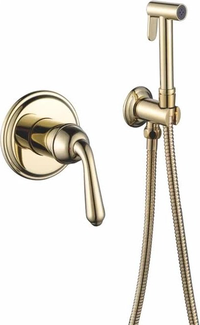 Rose гигиенический душ R0205E купить,NaN