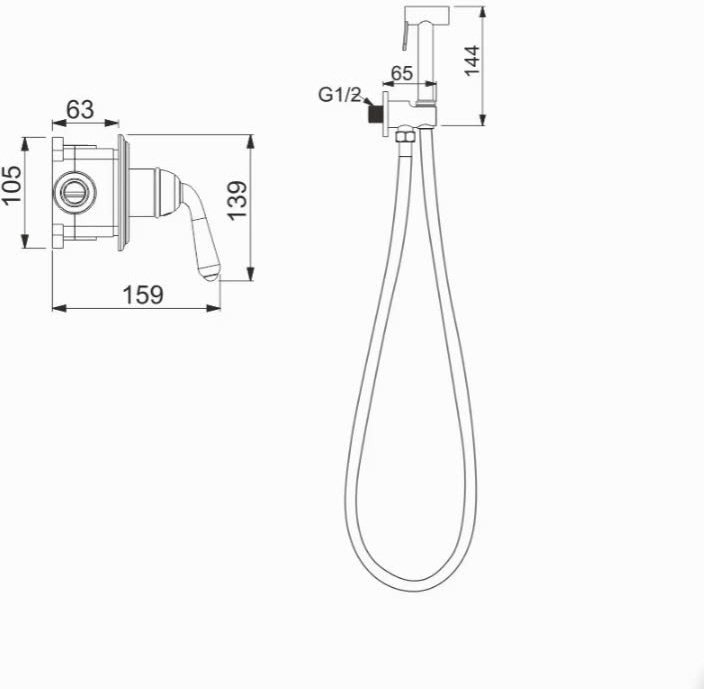 Rose гигиенический душ R0205E купить,NaN