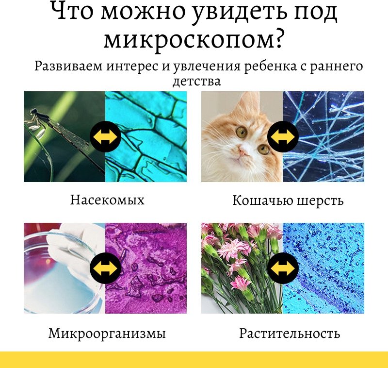 Микроскоп Детский купить,0