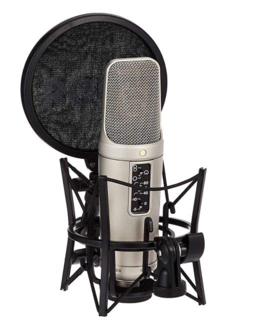 Микрофон Rode NT-2A серый купить,0