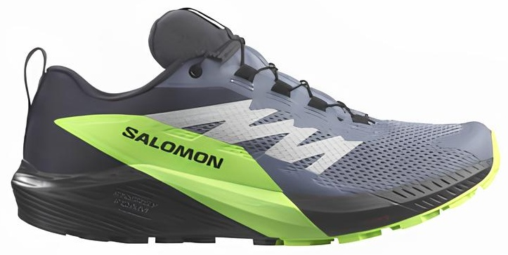 Треккинговые кроссовки Salomon Sense Ride 5 L47311100 черный 10 44 2/3  купить,NaN