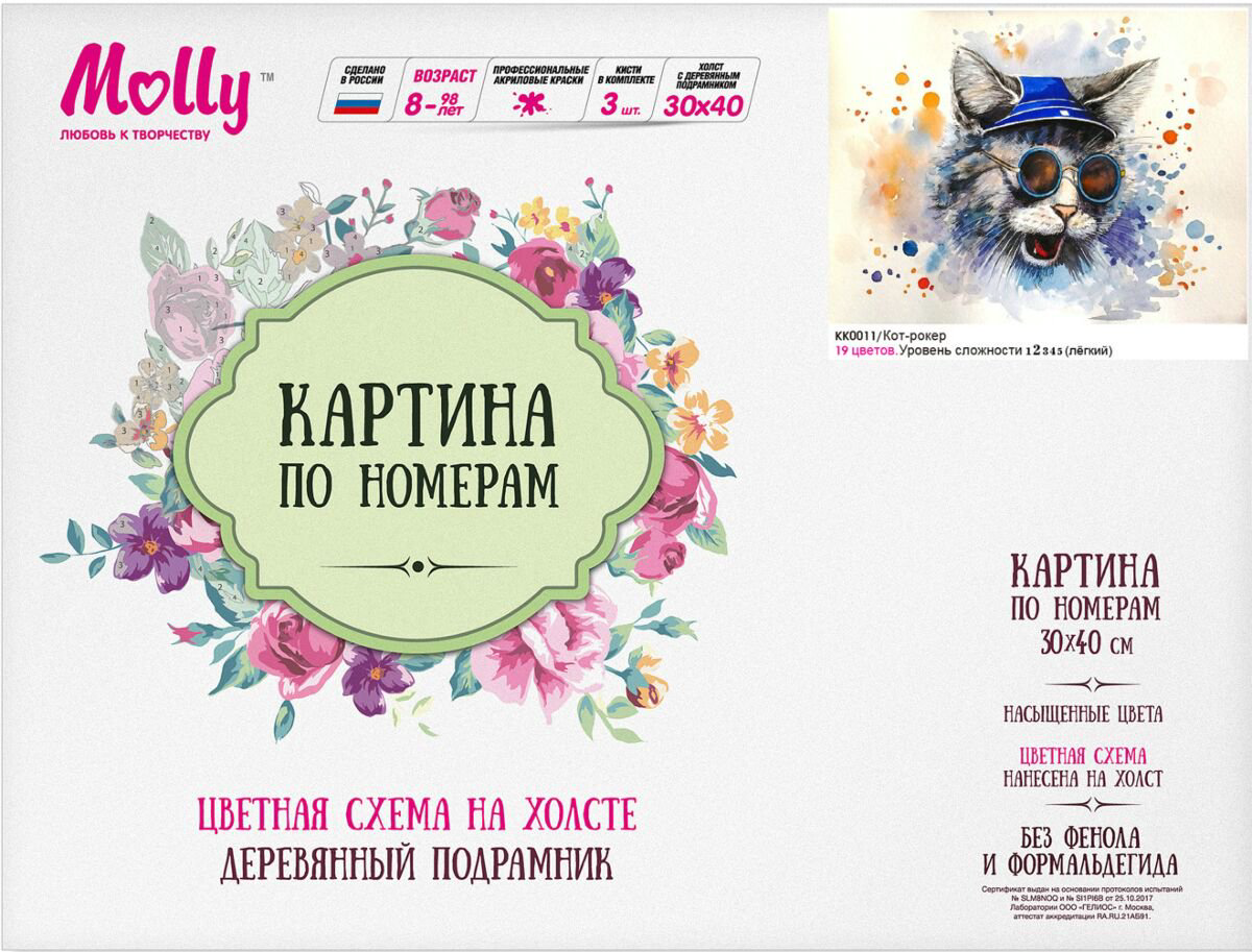 Картина по номерам с цветной схемой Molly Кот Рокер 30х40 19 цветов купить,NaN