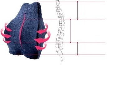 Ортопедическая подушка для спины Moltex 30x40 см, пенополиуретан