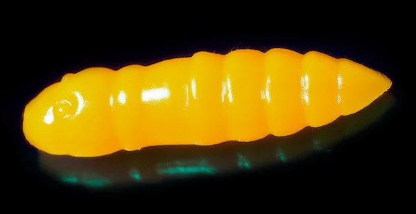 Приманка форелевая Jara Baits Jara Moli Mild 25 (Сыр) Color 707 25 шт купить,NaN