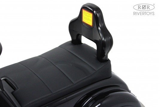 Каталка River Toys G300GG-D черный