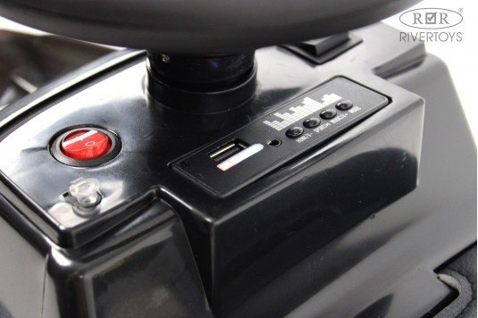 Каталка River Toys G300GG-D черный купить,NaN
