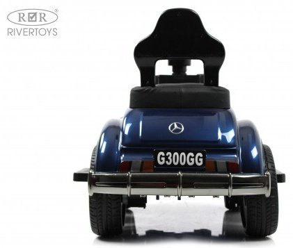Каталка River Toys G300GG-D синий купить,NaN