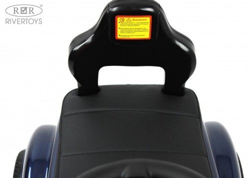 Каталка River Toys G300GG-D синий купить,NaN