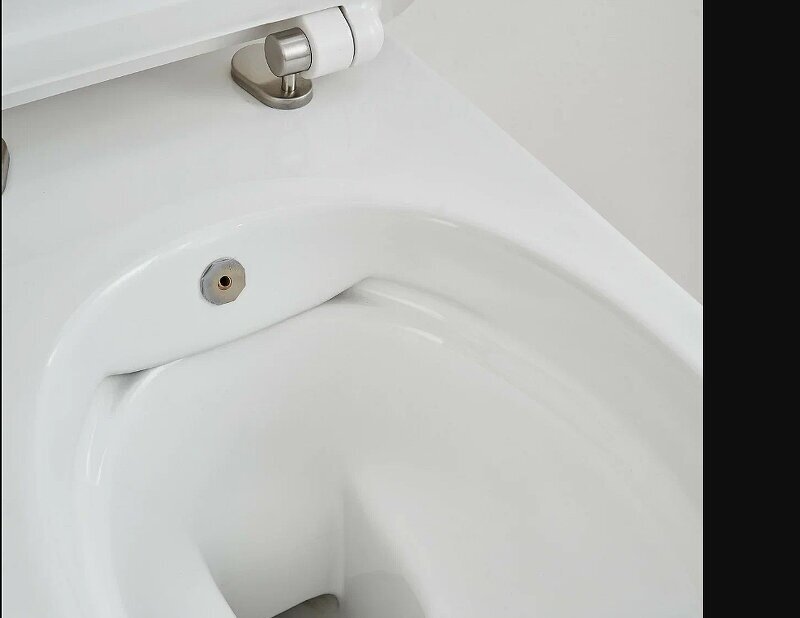 SSWW унитаз CT2039V-B , санфаянс купить,function inputValueFn(){if((0,signal2.mK)(node),node.value===REQUIRED_UNSET_VALUE)throw new root_effect_scheduler.buA(-950,null);return node.value}